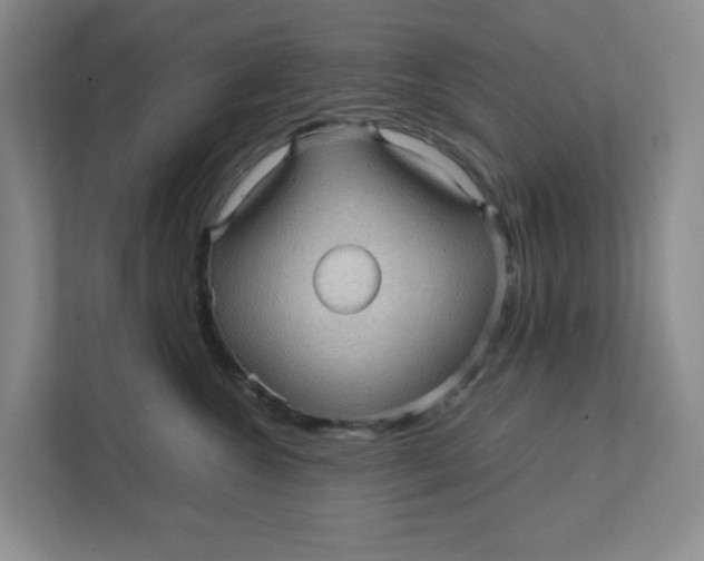 X0000111470572200908031402