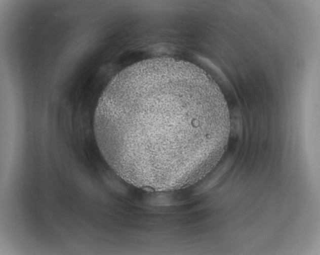 X0000111470573200908031402