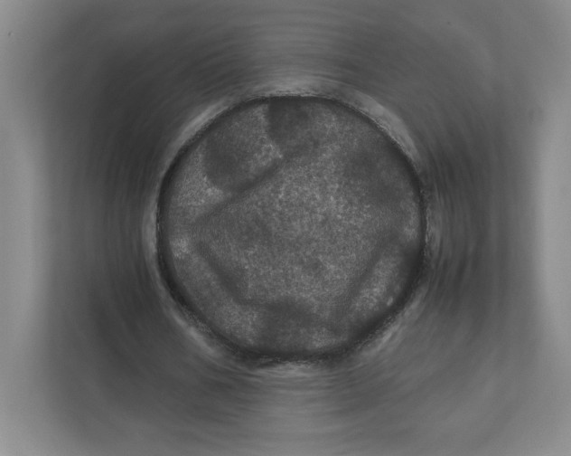 X0000111470578200908031402