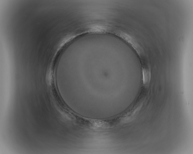 X0000111470579200908031402