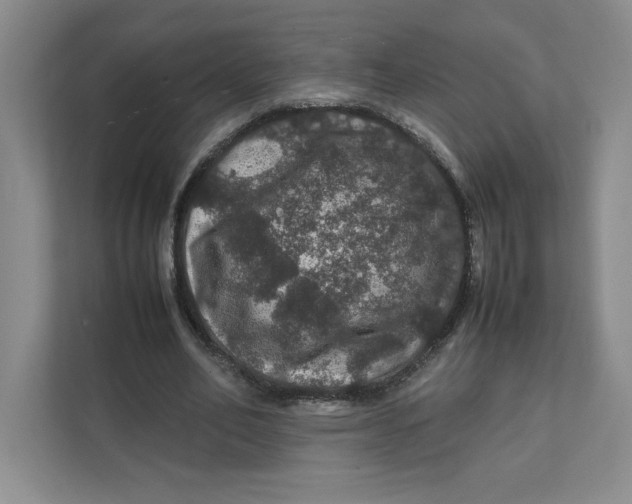 X0000111470582200908031402