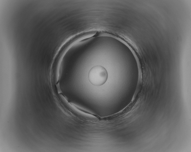 X0000111470584200908031401