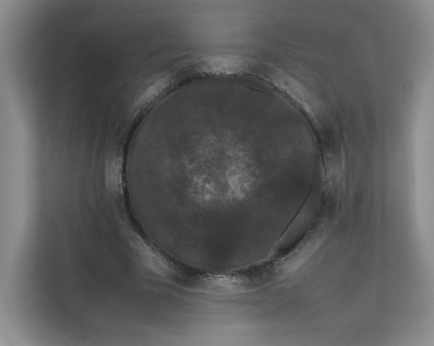 X0000111470585200908031401