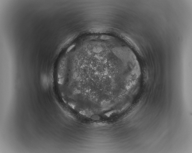 X0000111470586200908031401