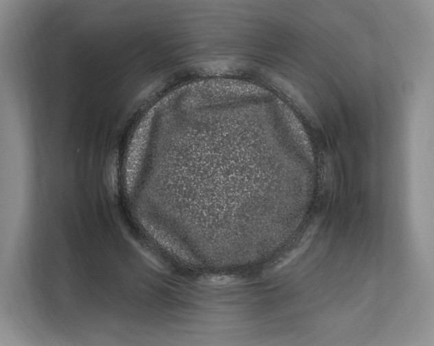 X0000111470590200908031401