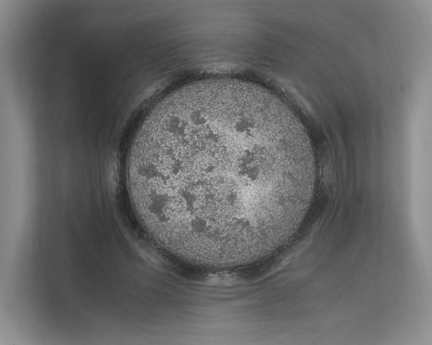 X0000111470591200908031401