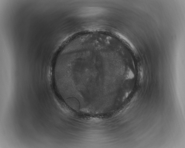 X0000111470592200908031401