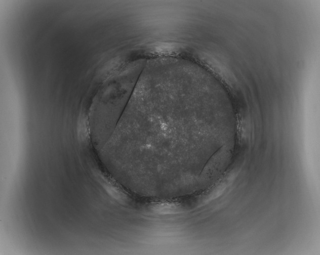 X0000111470593200908031401