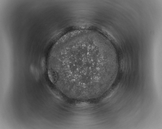 X0000111470594200908031401