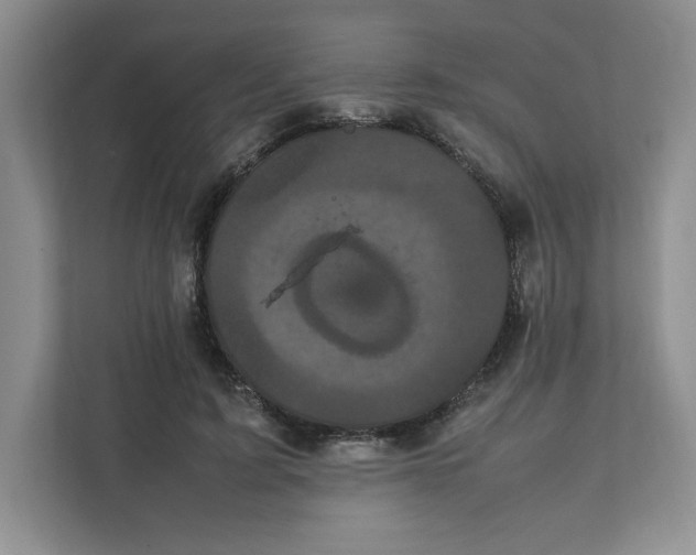 X0000111470595200908031401