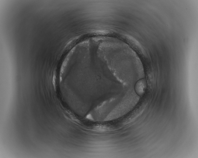 X0000111470596200908031401