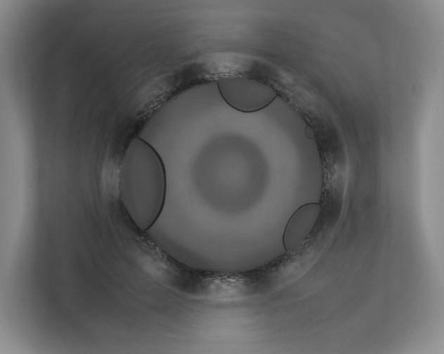 X0000111470599200908031401