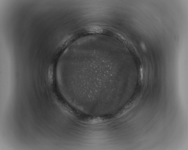 X0000111470600200908031401