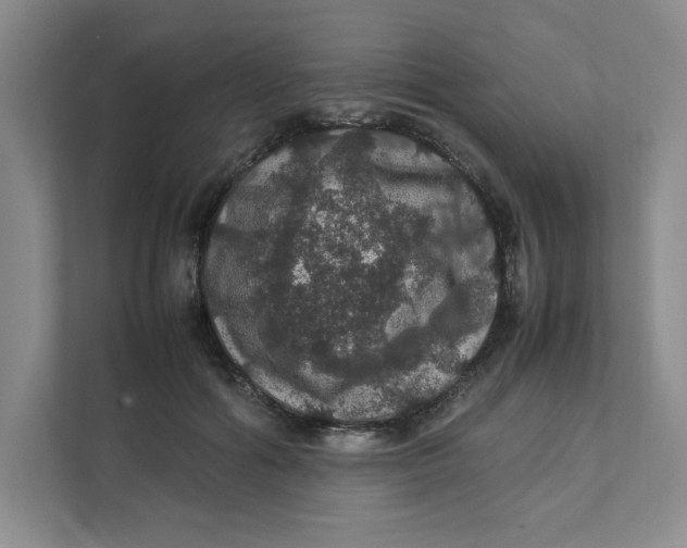 X0000111470602200908031401