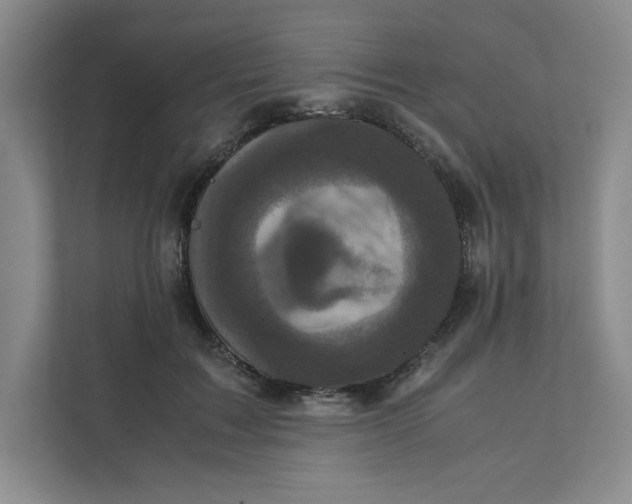 X0000111470603200908031401