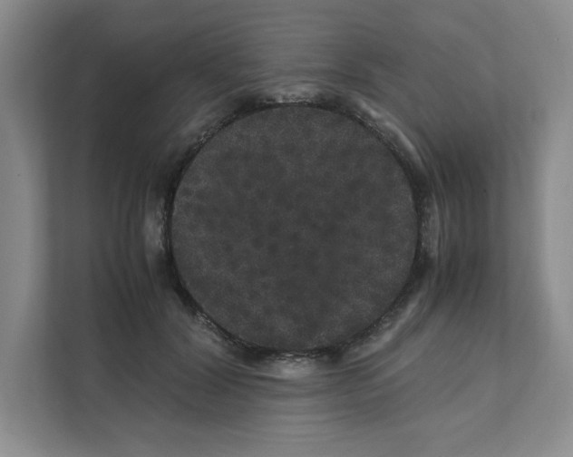 X0000111470604200908031401