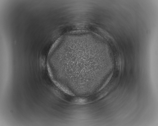 X0000111470610200908031401