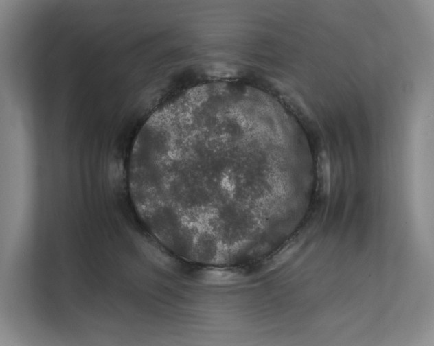 X0000111470614200908031401