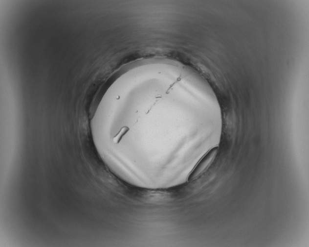 X0000111470617200908031401