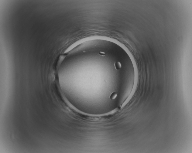 X0000111470621200908031401