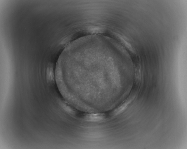 X0000111470622200908031401