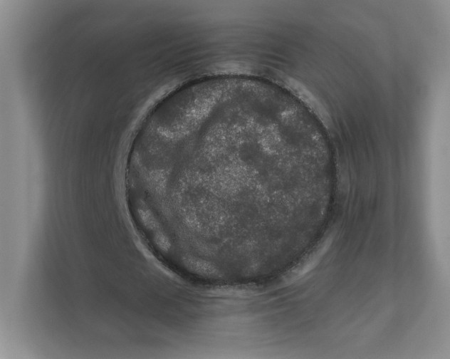 X0000111470625200908031400