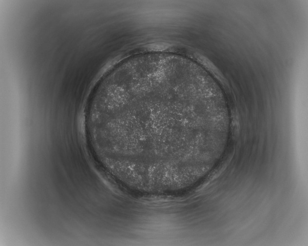 X0000111470626200908031400