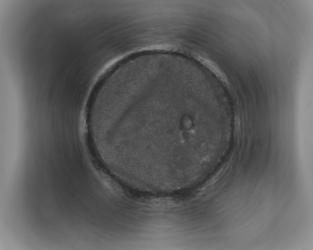 X0000111470628200908031400