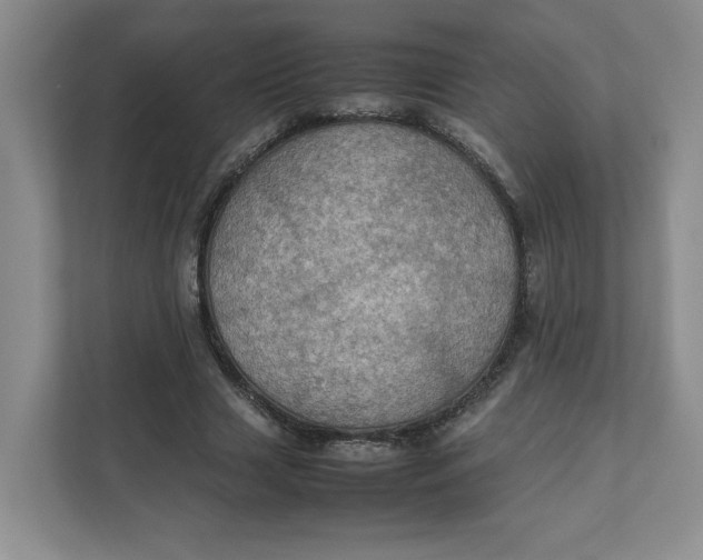 X0000111470633200908031400