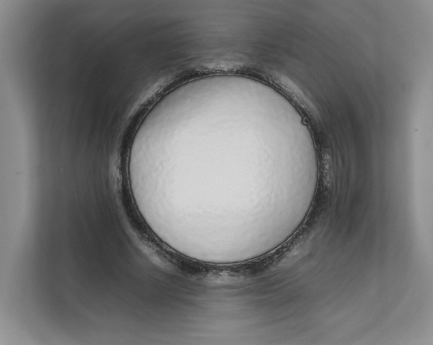 X0000111470634200908031400