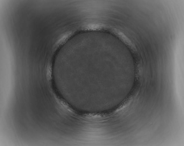 X0000111470640200908031400