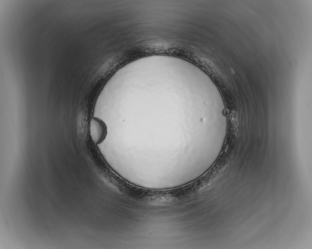 X0000111470642200908031400