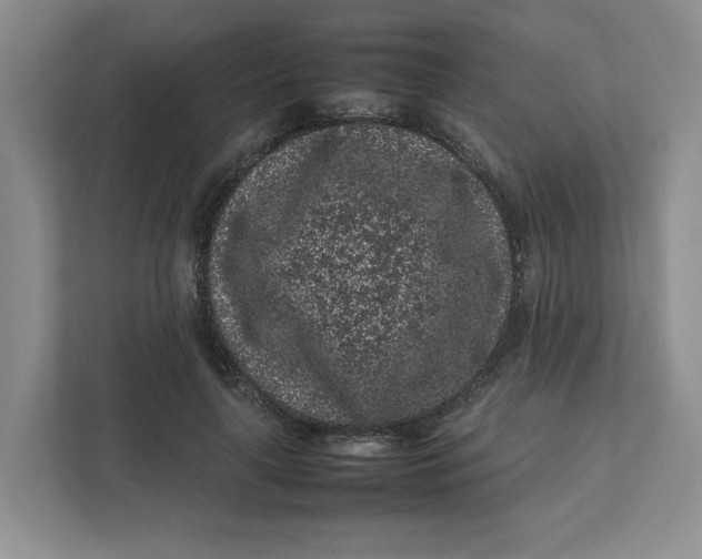 X0000111470643200908031401