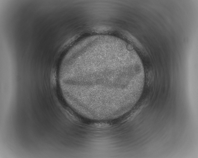 X0000111470644200908031401