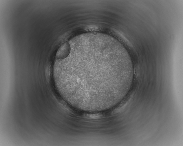 X0000111470645200908031401