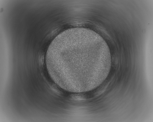 X0000111470652200908031401