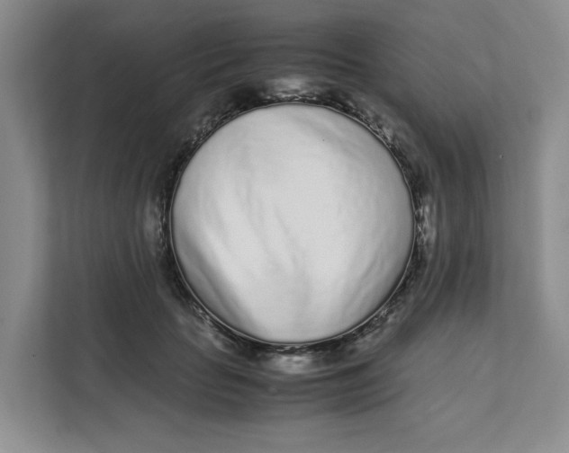 X0000111470653200908031401