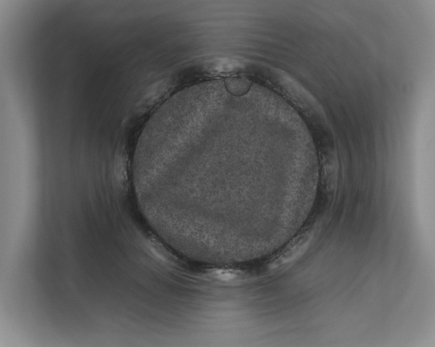 X0000111470654200908031401