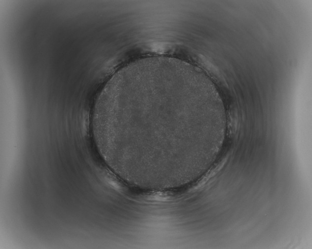 X0000111470656200908031401