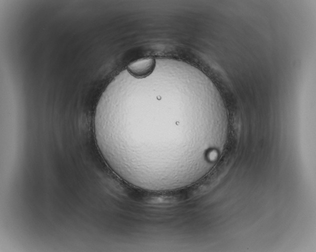 X0000111470657200908031401