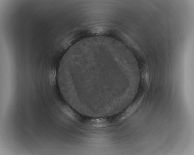 X0000111470660200908031401