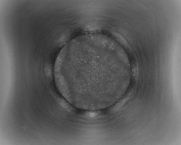 X0000111470662200908031401