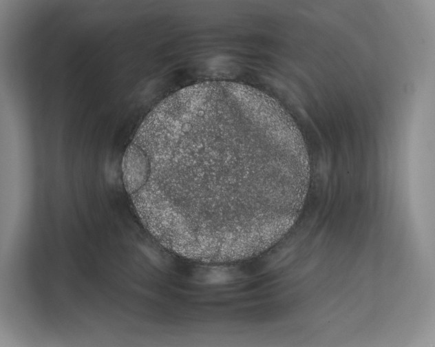 X0000111470663200908031401