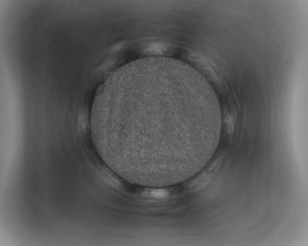 X0000111470665200908031401