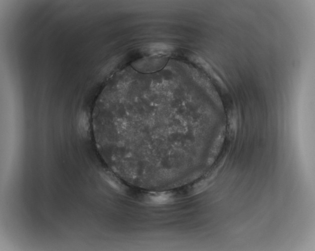 X0000111470667200908031401