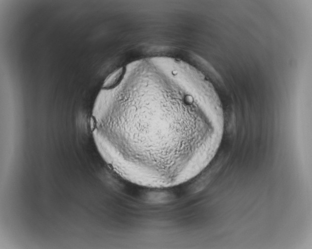 X0000111470669200908031401