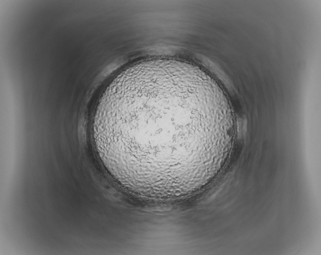 X0000111470675200908031400