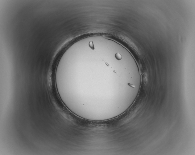 X0000111470676200908031400