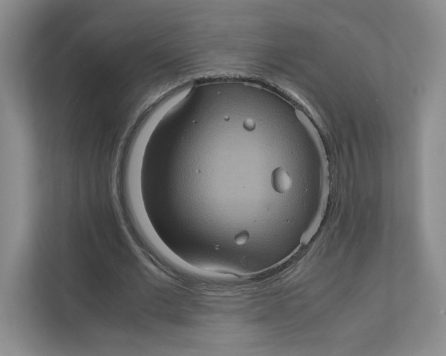 X0000111470677200908031400