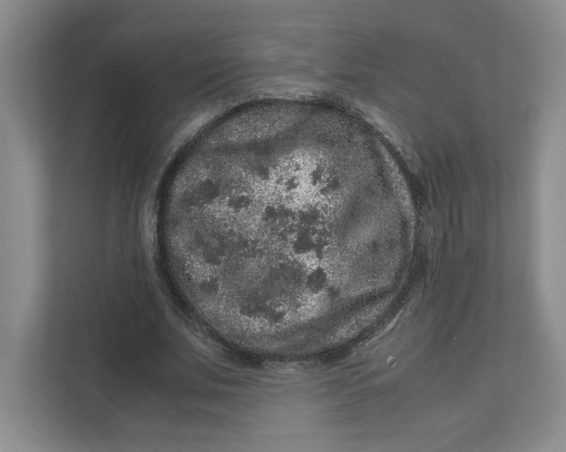 X0000111470679200908031400